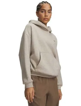 Sweat à Capuche Icon Fleece Brown / Timberwolf Taupe M - Under armour - FashionsVida