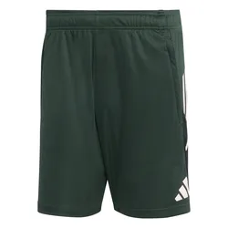 Kurzes Training der europäischen Wettbewerbe Juventus Turin Tiro 25 2025/26 - Vert - male - Size: L