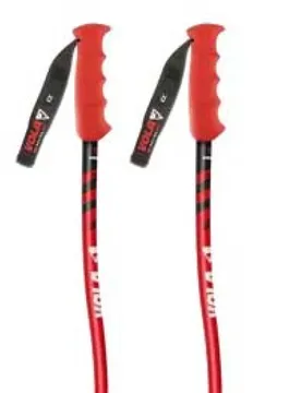 Bâtons Gs Senior Nordic Sr Sl Alu-carbon World Cup Aluminium 125 cm Homme - VOLA - FashionsVida