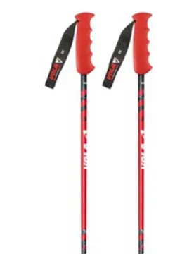 Bâtons Gs Carbon Nordic Sr Sl Alu-carbone Coupe Du Monde 120 cm Homme