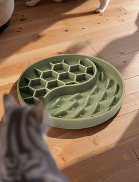 Ciotola per rallentare l'alimentazione - verde chiaro