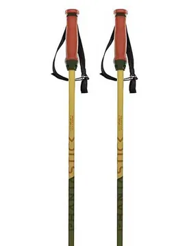 Volkl Bâtons Phantastick 16 Mm Green 125 cm Homme