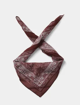 Warm Handle Paisley Scarf Red male - M&S - FashionsVida