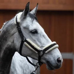 Halfter Set KLLexie, black PONY