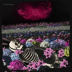 Redefined von - CD (Digipak) - None - unisex