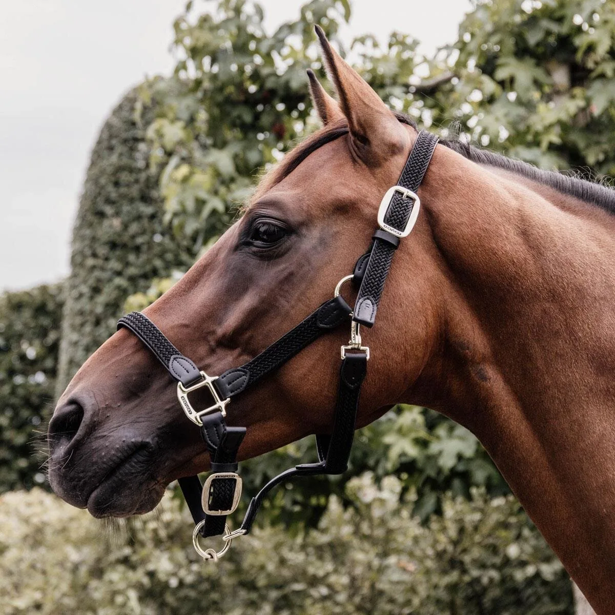 Halfter NYLON GEFLOCHTEN schwarz Full - Kentucky Horsewear - FashionsVida