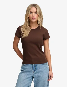 Pure Cotton T-Shirt Brown female - Superdry & Co - FashionsVida