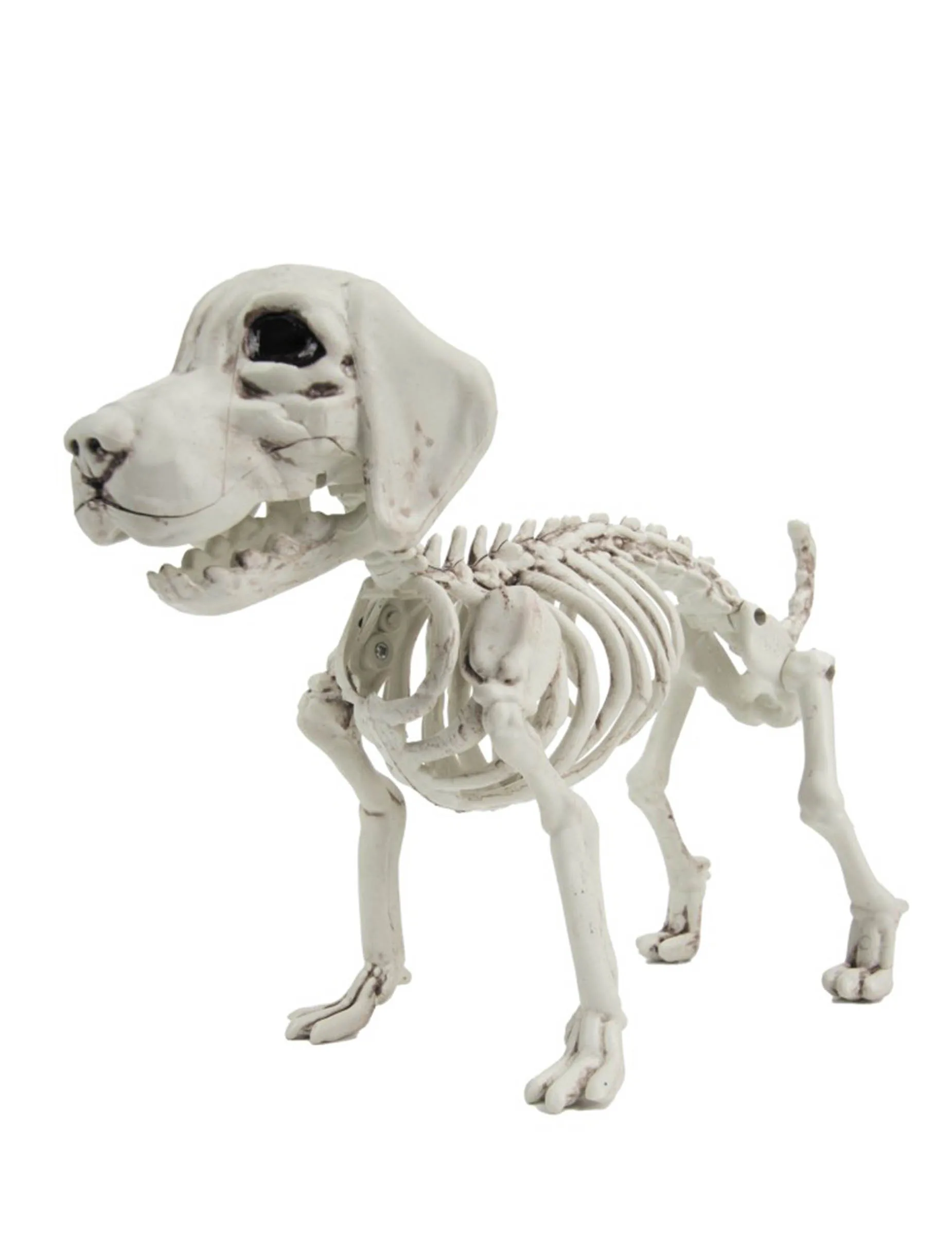 Hunde Skelett Deko für Halloween 26cm - PARTYPRO - FashionsVida