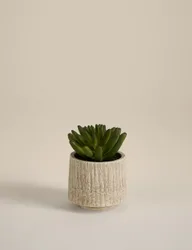 Artificial Mini Succulent in Textured Cement Pot Brown
