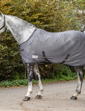 Fliegendecke COMFORT mit Kreuzgurten, grau 125 - Waldhausen - FashionsVida