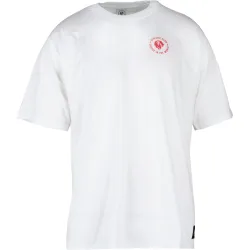 Escudo camiseta de fútbol oficiales (L)