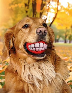 Kauspielzeug für Hunde, 2er-Set