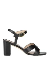 Sandalias Mujer Negro 36,36.5,37,39.5 Mujer