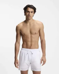 Boxer mare bianco con banda tricolore a lato