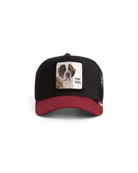Berretto trucker Top Dog nero con patch san bernardo e frontino bordeaux