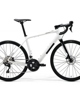 Bici in alluminio ebike eSCULTURA II 2x12v MAHLE X35
