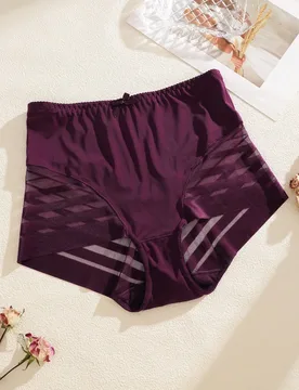 Pieza Bragas de mujer de unicolor, de cintura alta, de malla y con diseño calado, sexy y cómodas - Shein - FashionsVida