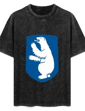 Coat of arms of Greenland T-Shirt Lightweight Running T-Shirt - Aliexpress - FashionsVida