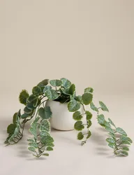 Artificial Trailing Eucalyptus in Pot Green