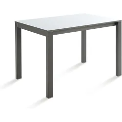 Mesa extensible con superficie de Ada