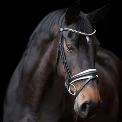 Trensenzaum IRH FRIA black/white Cob