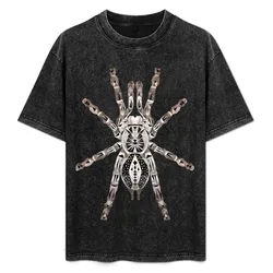 Tarantula Heteroscodra maculata tarantula T-Shirt Plus Size Loose Short Sleeve Top