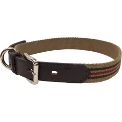 Collar de perro Webbing