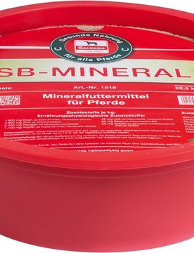 Salvana SB Mineral 10kg