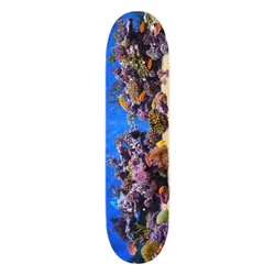 Planche De Skateboard Mini-logo Fish Tank Maple K20 8.5 unisex