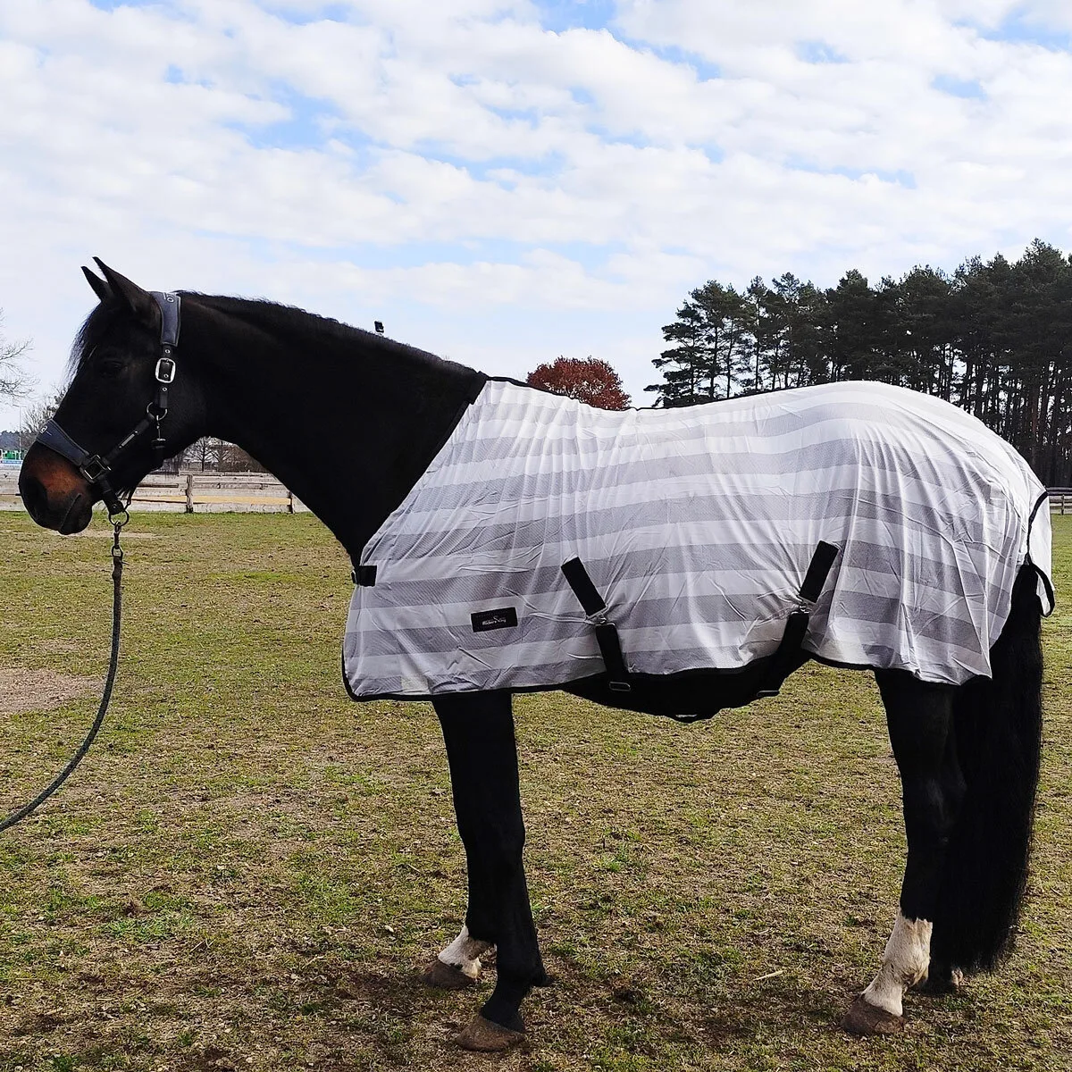 Manski Fliegendecke RIDERS KING silvergrey 145 - Reitsport Manski - FashionsVida