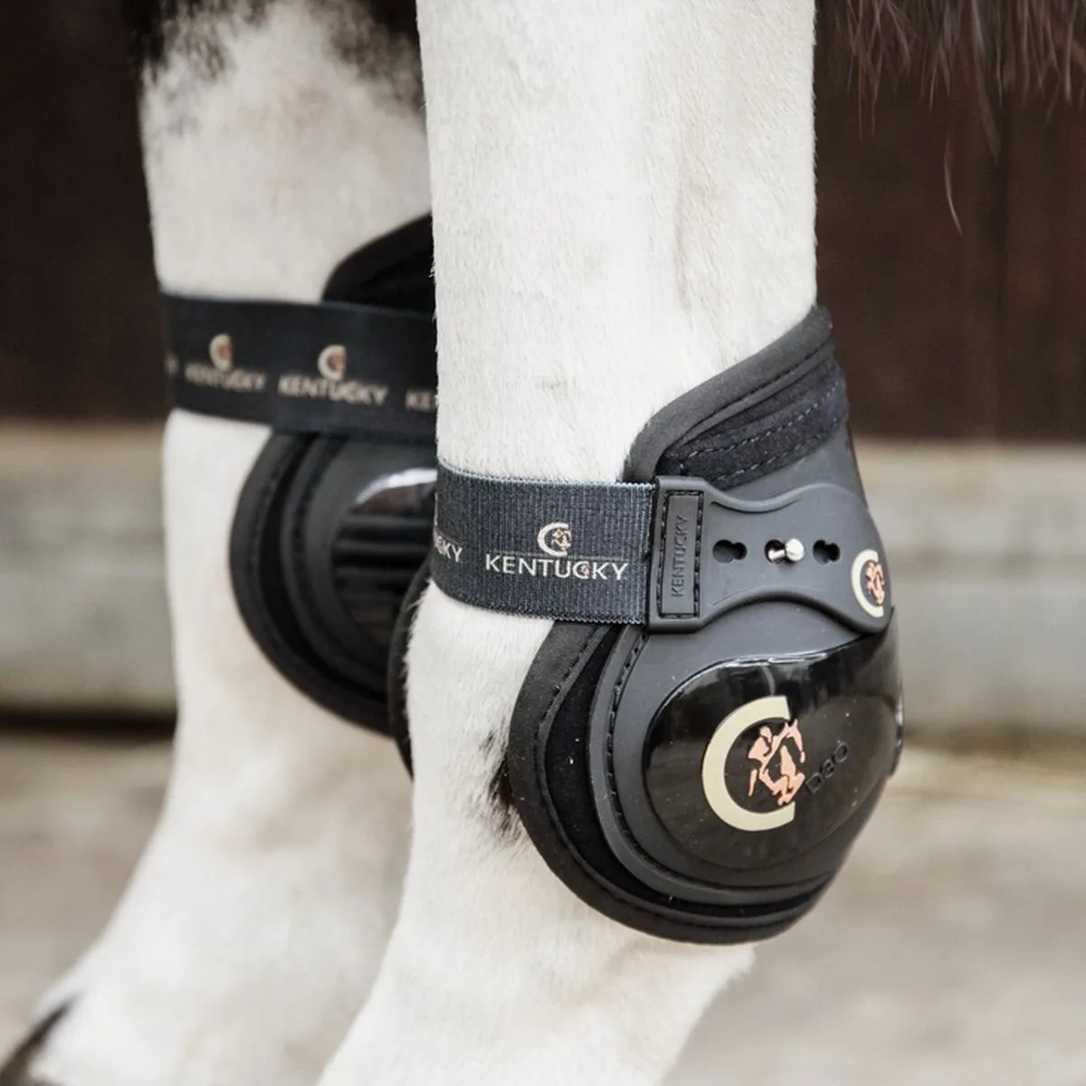 Streichkappe MOONBOOTS ELASTIK schwarz - Kentucky Horsewear - FashionsVida