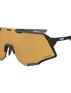 Occhiali Da Sole Rouleur Vision+ Black / Bronze