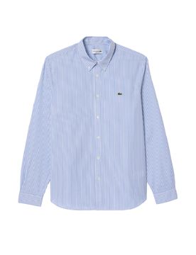 Lacoste Camicie Azzurro