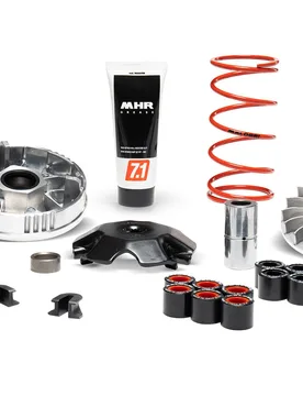 Variatore Multivar 2000 Aluminum Per Yamaha-Minarelli Malaguti F15 Firefox 50 2t Lc - Malossi - FashionsVida