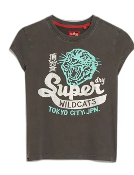 T-shirt à Manches Courtes Embellished Poster Cap Slv Vintage Black XL - Superdry - FashionsVida