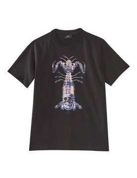 T-Shirt Teschio Mantide Religiosa