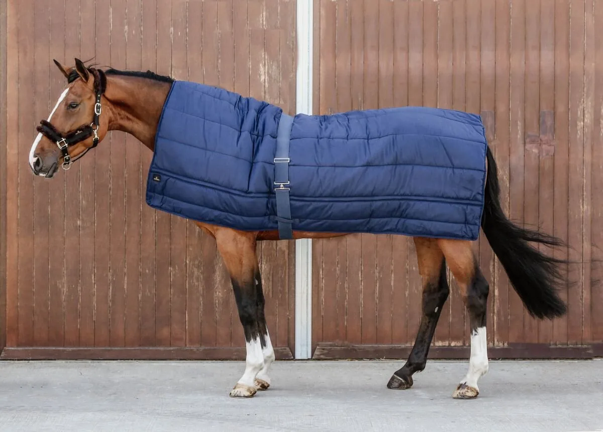 Unterdecke 300g marineblau - Kentucky Horsewear - FashionsVida