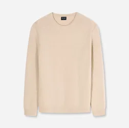 Pullover male