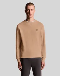 Men's Cotton Crew Neck Sweatshirt in Brown