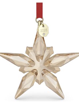 Annual Edition Decorazione Festive 2025 OS