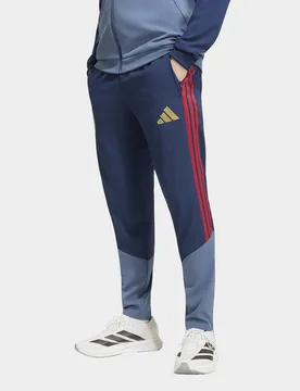 Mens Pantaloni da rappresentanza Bayern Monaco 26/27 - Blu, blu blu Uomo taglia L - Adidas - FashionsVida
