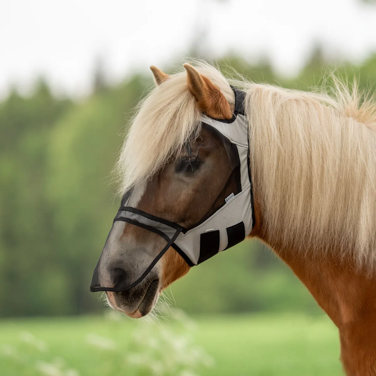 Fliegenmaske FLY GUARD FREE PLUS hellgrau XWB - Busse - FashionsVida