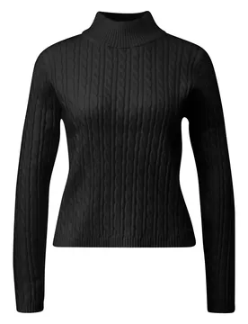 Strickpullover female