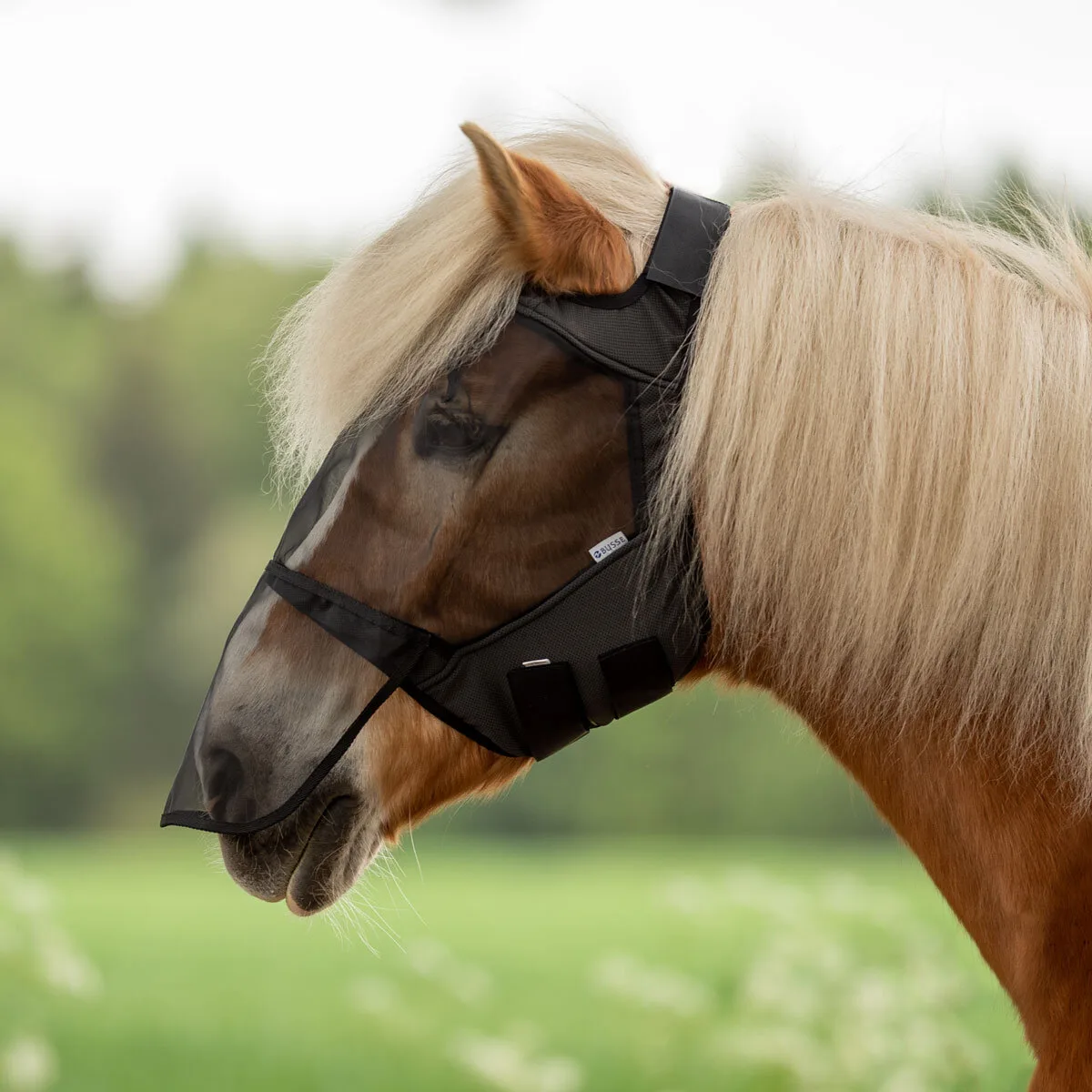 Fliegenmaske FLY GUARD FREE PLUS schwarz P - Busse - FashionsVida