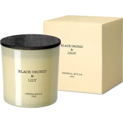Vela perfumada Orchid&Lily