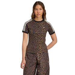 Firebird Donna - Magliette Multi - Taglia XS (30-32) - Poly Mesh XS (30-32)