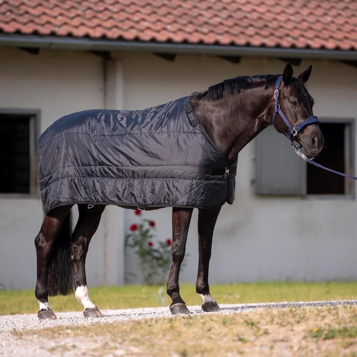 Unterziehdecke/Liner NOORVIK PRO 100 schwarz 165 - Busse - FashionsVida