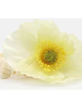 Pressume - Coletero Flor blanco - Pressume - FashionsVida