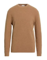 Pullover Herren Kamel L,M,S,XL,XXL Herren
