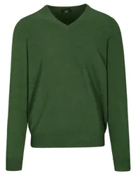 V-Pullover Basic, uni male